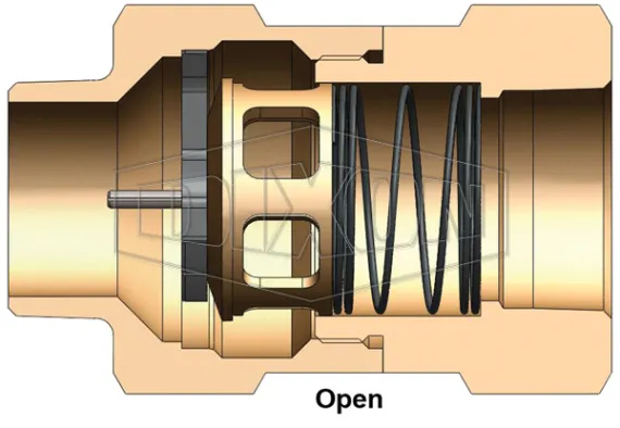 Safety Check Valve | Dixon